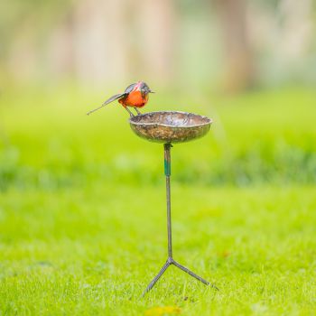 Roodborst waterschaal op driepoot